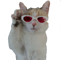 panko_glasses emote for Discord