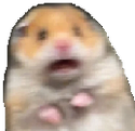 scaredHampter emote for Discord