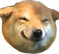 smile_doge emote for Discord