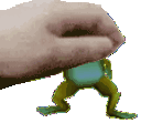 petfrog emote for Discord