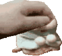 pethamster emote for Discord