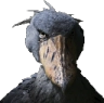 Shoebill_Bird emote for Discord