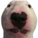 walter_dog emote for Discord