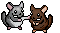 shny_fight emote for Discord