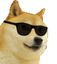 cooldoge emote for Discord
