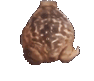 frogspin emote for Discord
