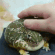petfroge emote for Discord
