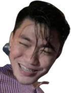 fireworks emote for Discord