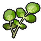 Watercress emote for Discord