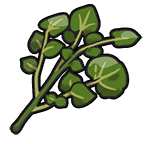 BitterHerbaMystica emote for Discord