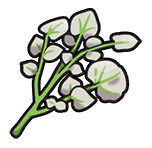 SaltyHerbaMystica emote for Discord