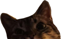 lucyPeek emote for Discord