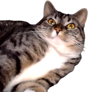 lucyFreak emote for Discord