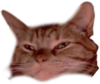 sailorAware emote for Discord