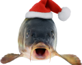 ChristmasFish emote for Discord
