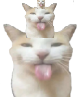 BLEHHHHH_Cat_Tower emote for Discord