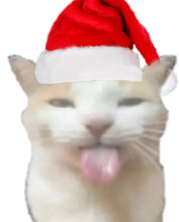Christmas2022_BLEHHHHH_Cat emote for Discord