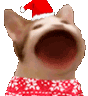 christmascatpop emote for Discord
