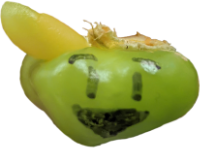 Piper emote for Discord