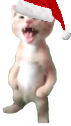 CatScream emote for Discord