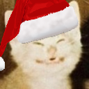 ChristmasCatEEEEE emote for Discord
