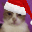 ChristmasCatStare emote for Discord