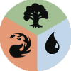 MTG_Temur_Hybrid emote for Discord