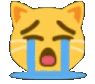 catsob emote for Discord