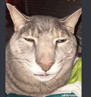 jajokot emote for Discord