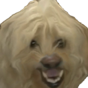 dog_haha emote for Discord