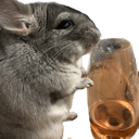 chinchilla_rose emote for Discord