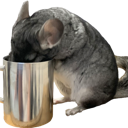 chinchilla_tea emote for Discord