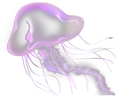 purple_jellyfish emote for Discord
