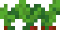 beetroots_stage2 emote for Discord