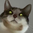 cat_glowing_eyes emote for Discord