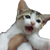 screaming_kitten emote for Discord