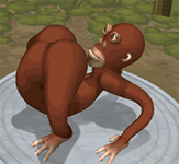 monkeysniff emote for Discord