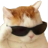 cool_cat emote for Discord