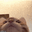 lick_CAT emote for Discord