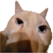 fenward emote for Discord