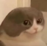 melvin emote for Discord