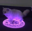 demoncat emote for Discord