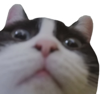 milky emote for Discord