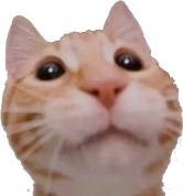 gabe emote for Discord