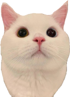 ethan emote for Discord