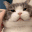 CuteCat emote for Discord