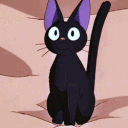 JijiMeow emote for Discord