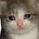Crying_Kitten emote for Discord