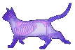 Skelecat emote for Discord