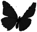 butterfly emote for Discord